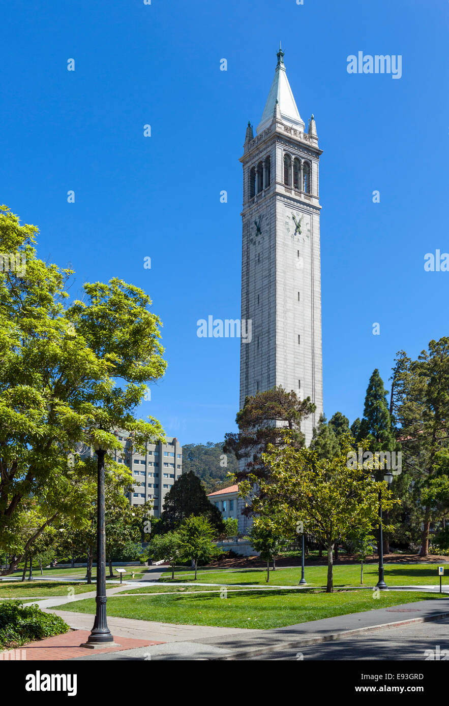 Sather Tower (The Campanile) at the University of California Berkeley, Berkeley, California, USA Stock Photo