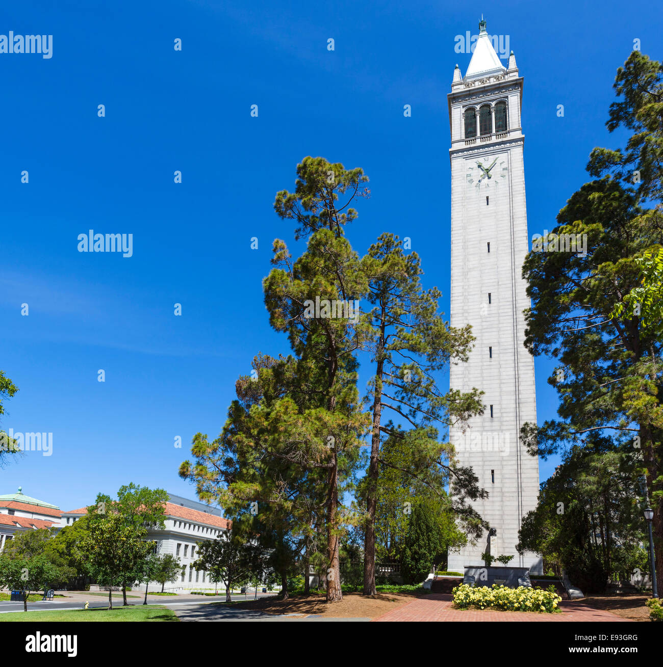 Sather Tower (The Campanile) at the University of California Berkeley, Berkeley, California, USA Stock Photo