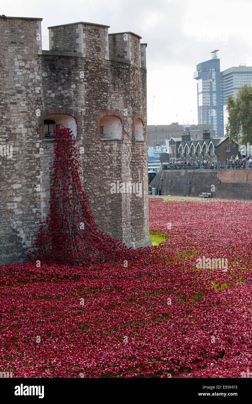 Poppies at the Tower of London Stock Photo