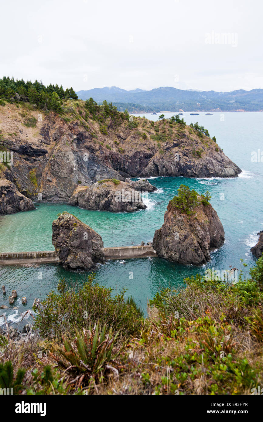 Nellies Cove Port Orford Head State Park Oregon USA Stock Photo