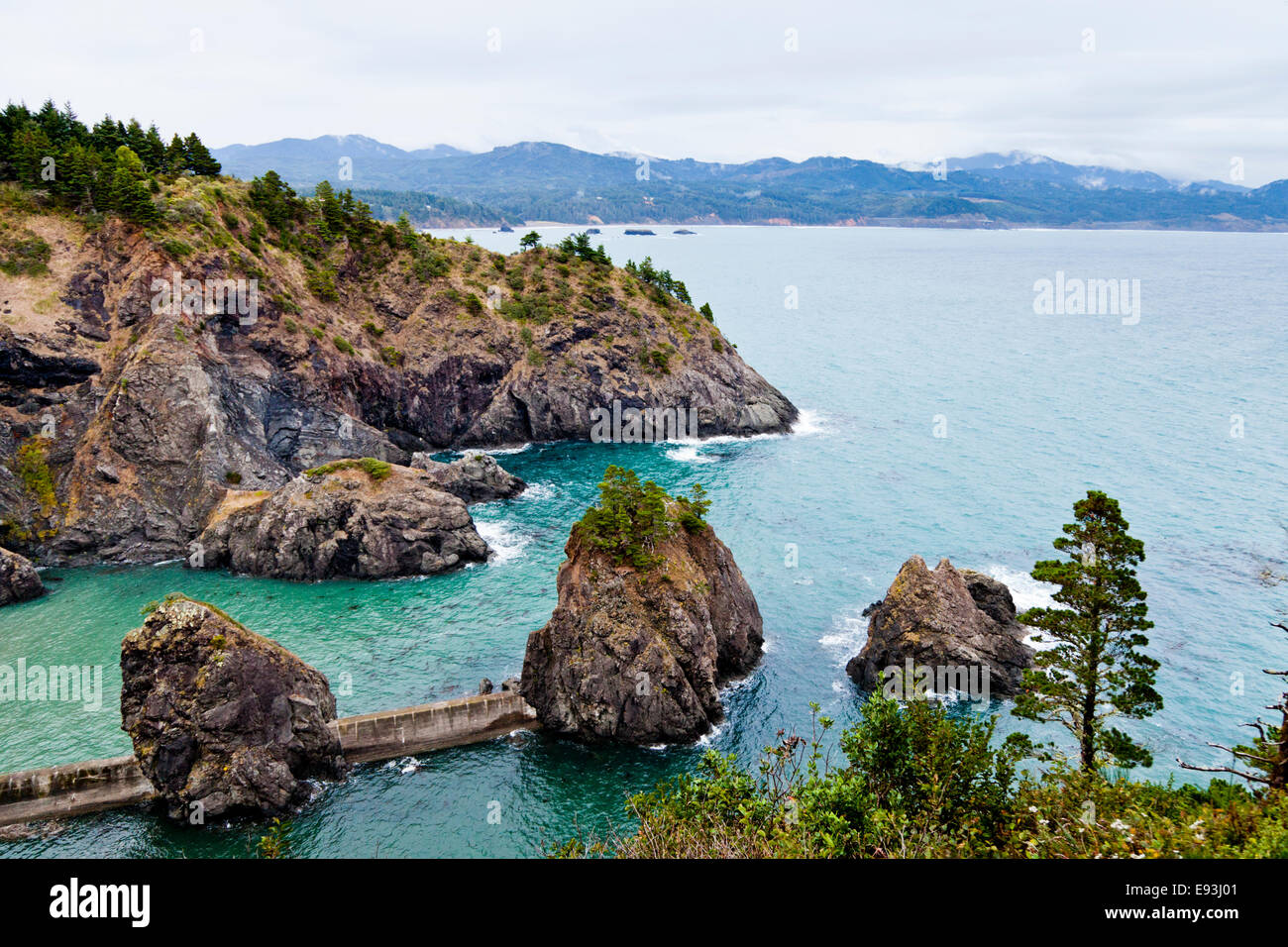 Nellies Cove Port Orford Head State Park, Oregon USA Stock Photo