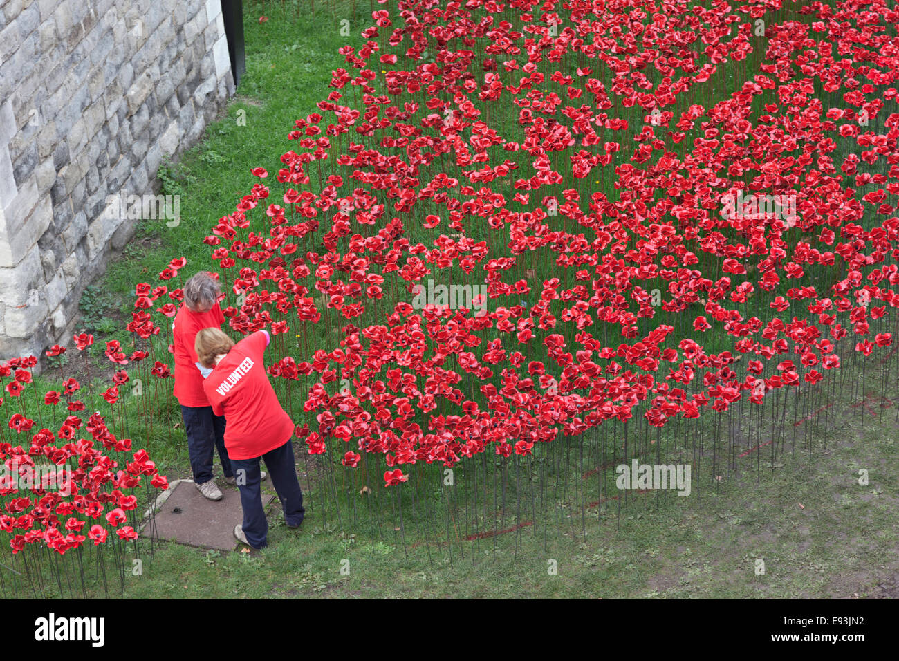 Volunteers working on World War I memorial of porcelain poppies at Tower of London Stock Photo