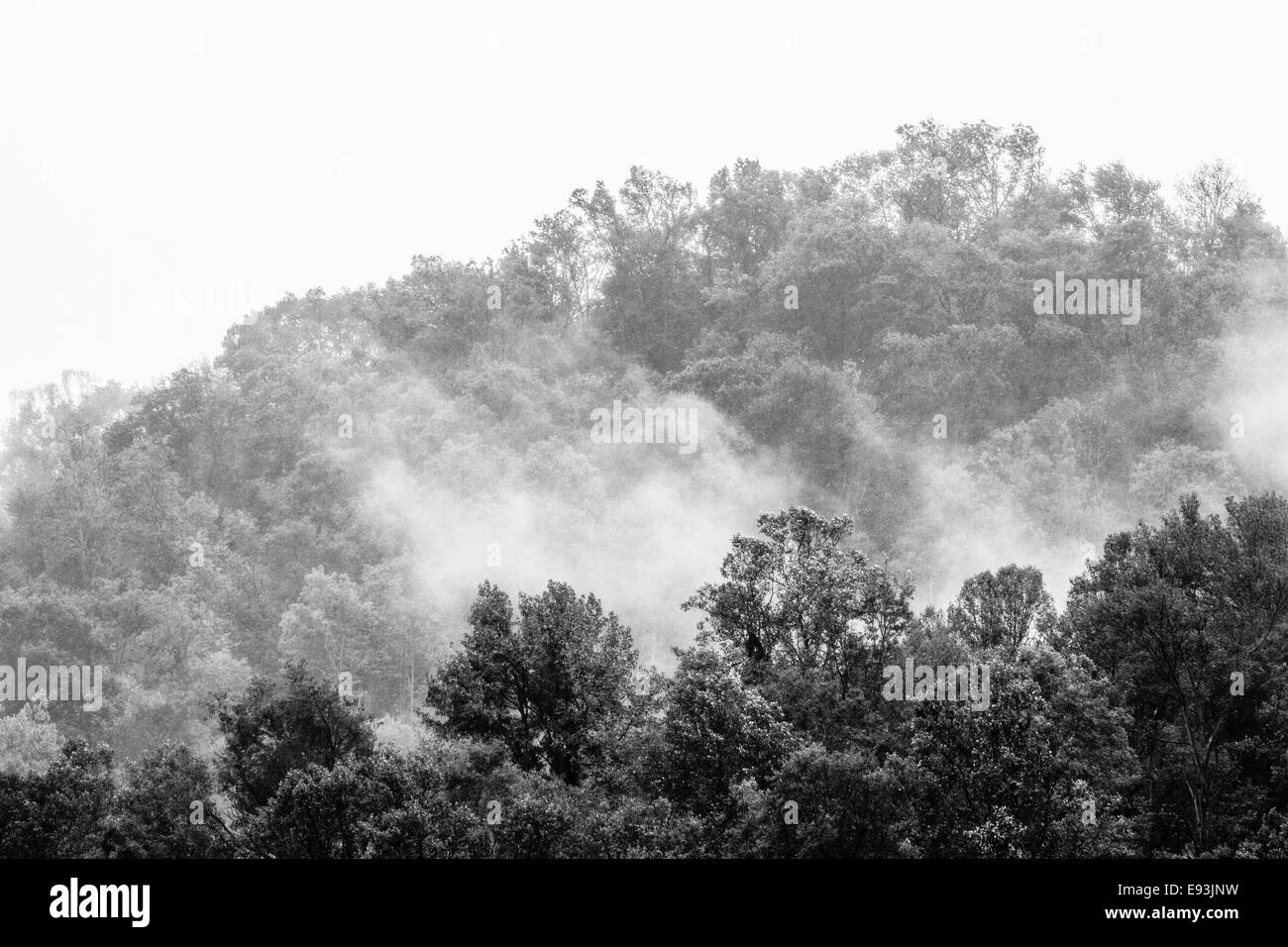 Rising out of the fog Black and White Stock Photos & Images - Alamy