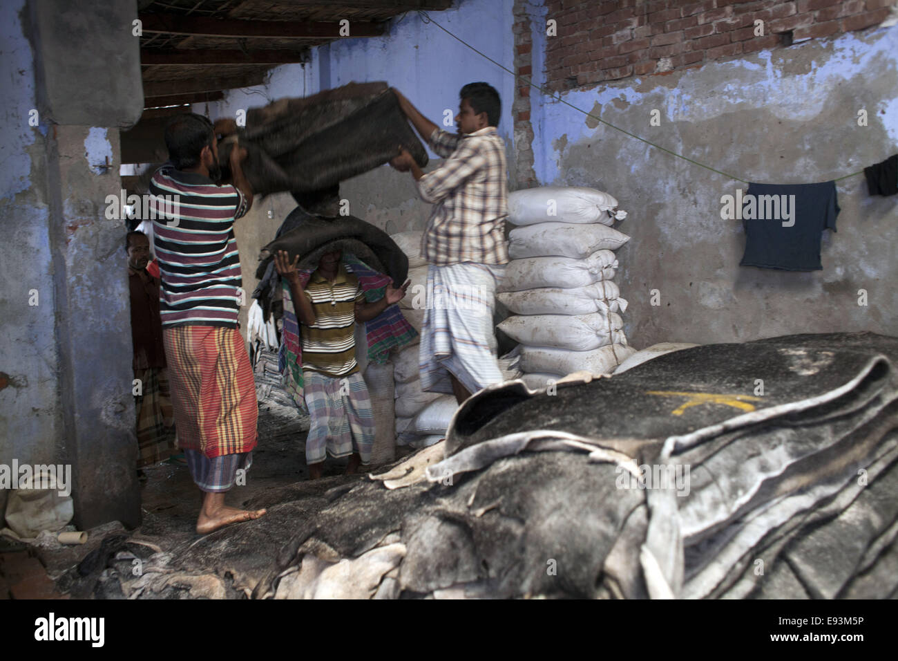 Dhaka, Bangladesh. 18th Oct, 2014. Workers carrying to process animal skins slaughtered during the Eid Al Adha, at a Leather factory in Hazaribagh, Dhaka.The Bangladeshi leather industry has earned 980.67 million US dollar from the exports of leather and leather goods in fiscal 20/12/2013, according to Bangladesh's Export Promotion Bureau © Zakir Hossain Chowdhury/ZUMA Wire/Alamy Live News Stock Photo
