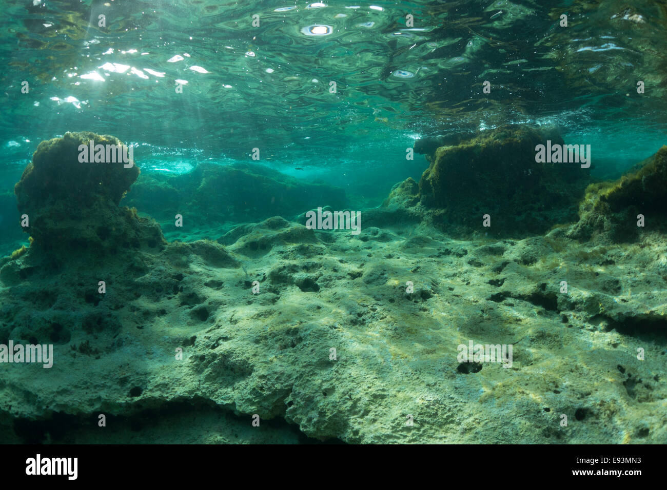 Underwater Landscape of the Mediterranean Sea in Cirkewwa, Malta. Stock Photo