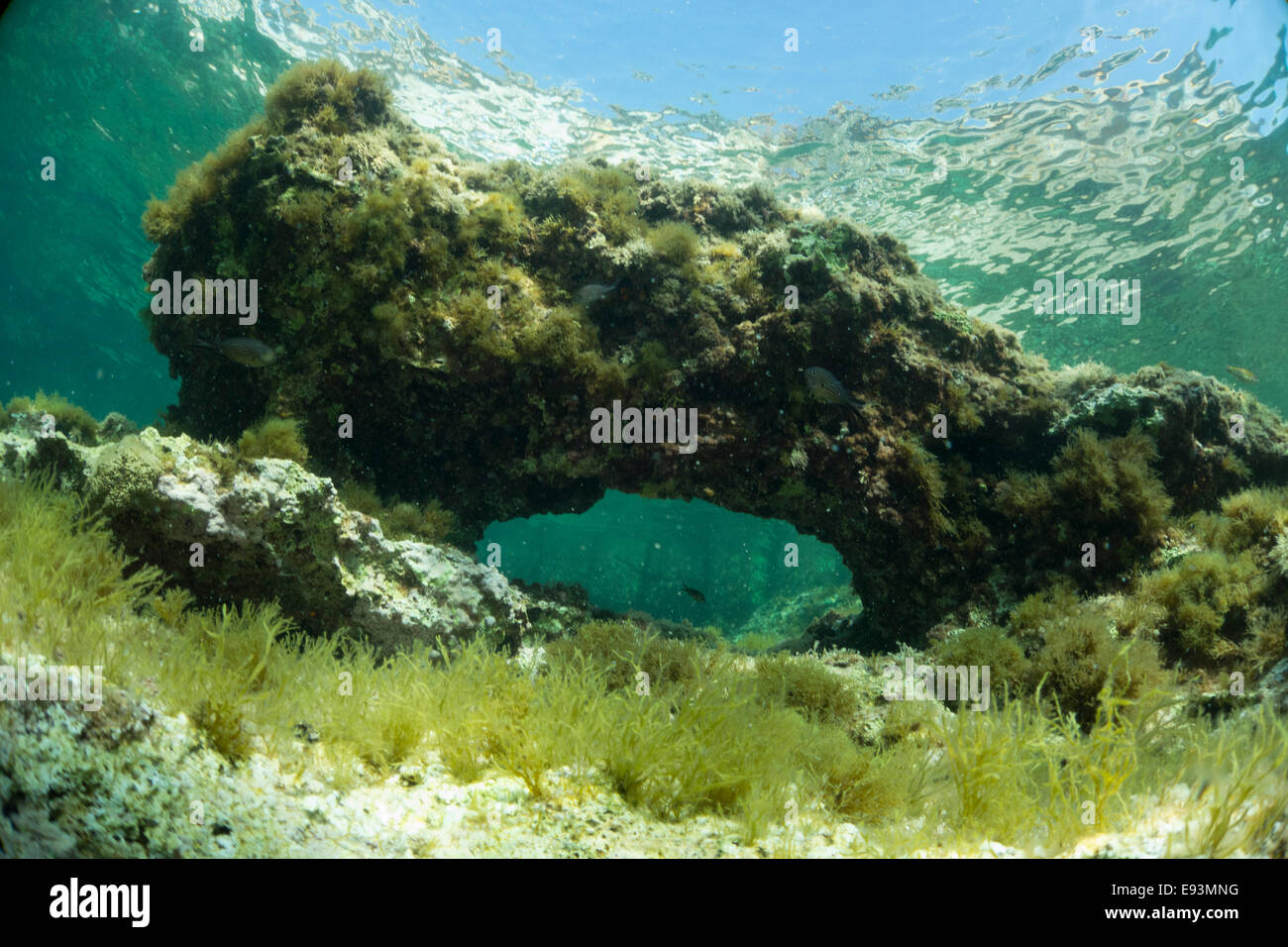 Underwater Landscape with arch of the Mediterranean Sea in Cirkewwa, Malta. Stock Photo