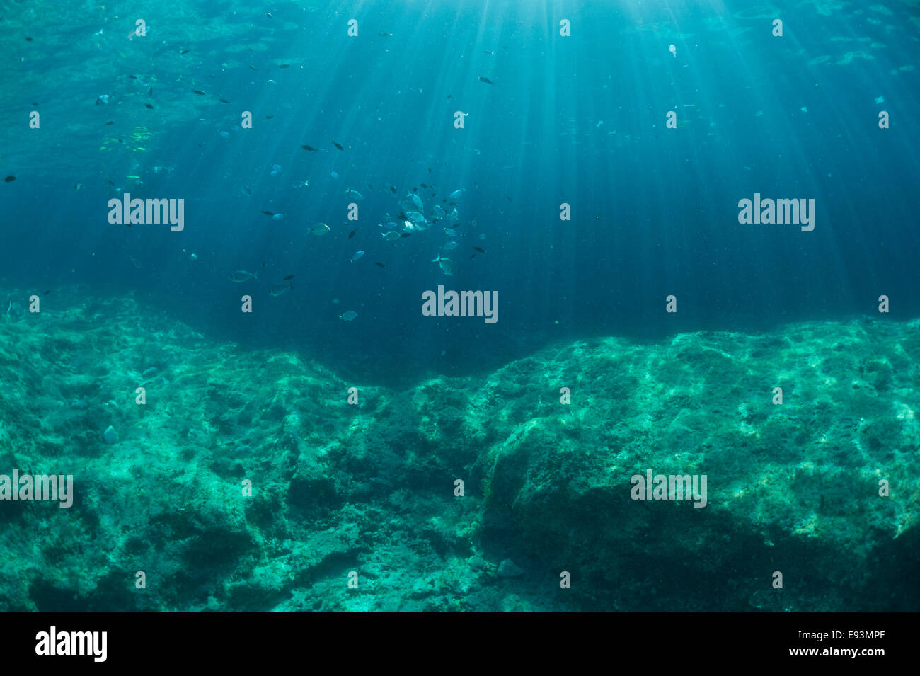 Underwater Landscape of the Mediterranean Sea in Cirkewwa, Malta. Stock Photo