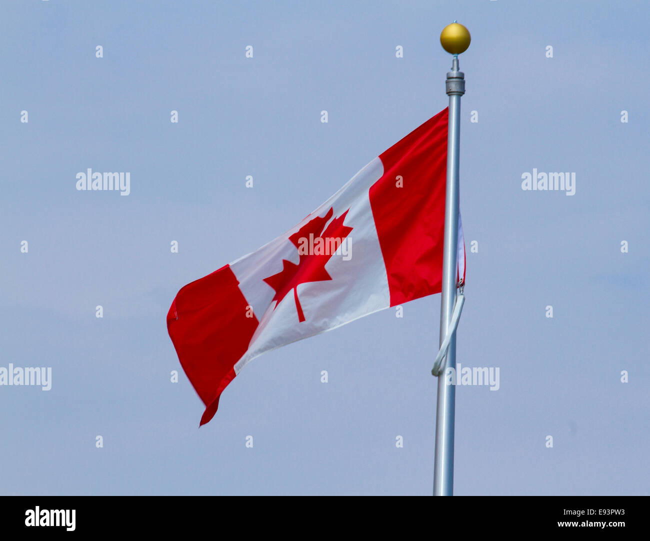 Canadian Flag Blowing in the wind Stock Photo