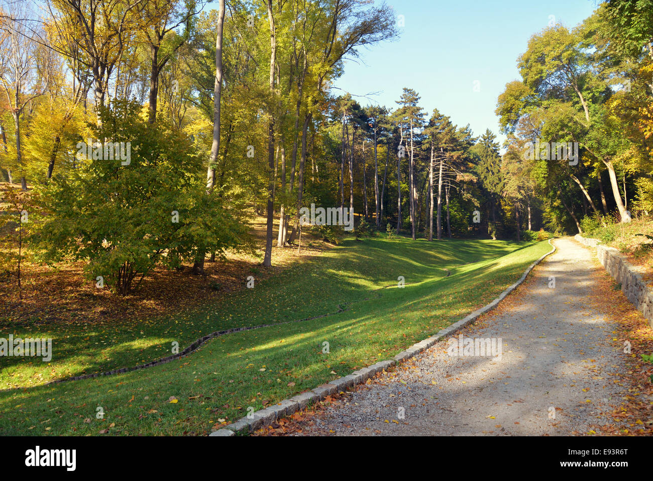 Sunny day in a beautiful autumn park Stock Photo - Alamy