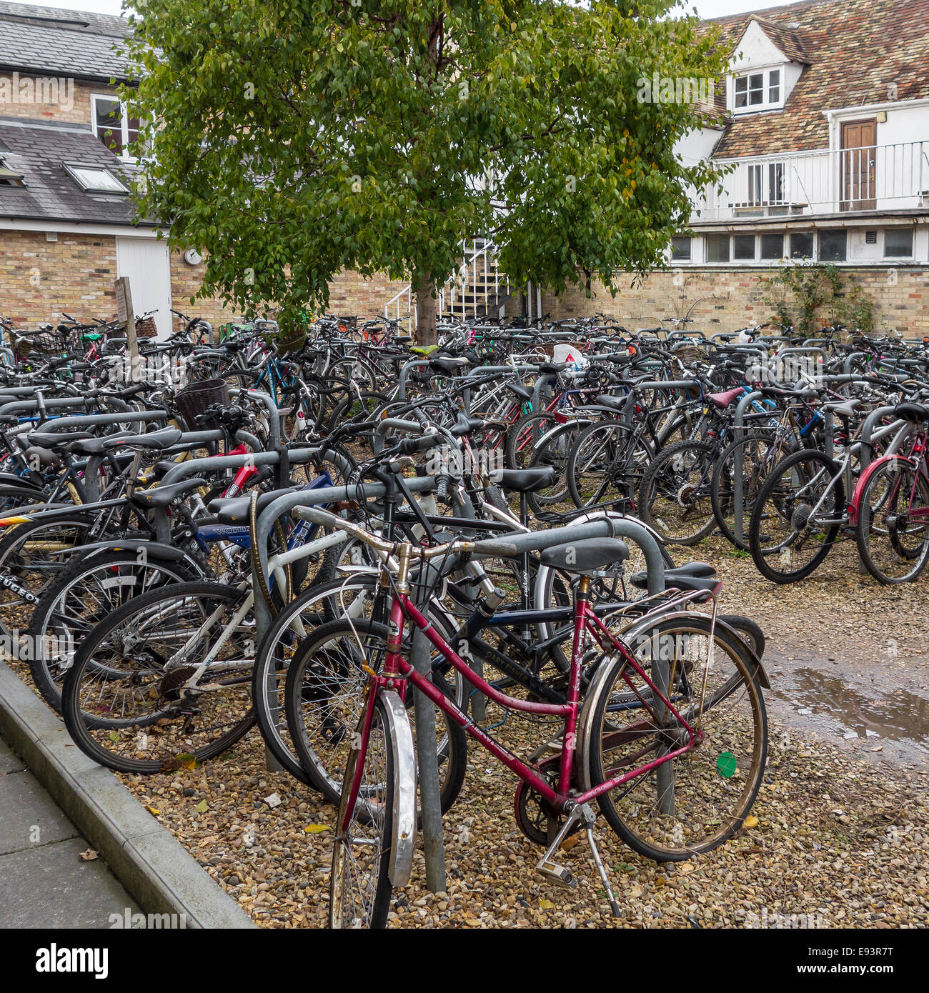 Students Bicycle Cycle Park Magdalene College Cambridge Stock Photo