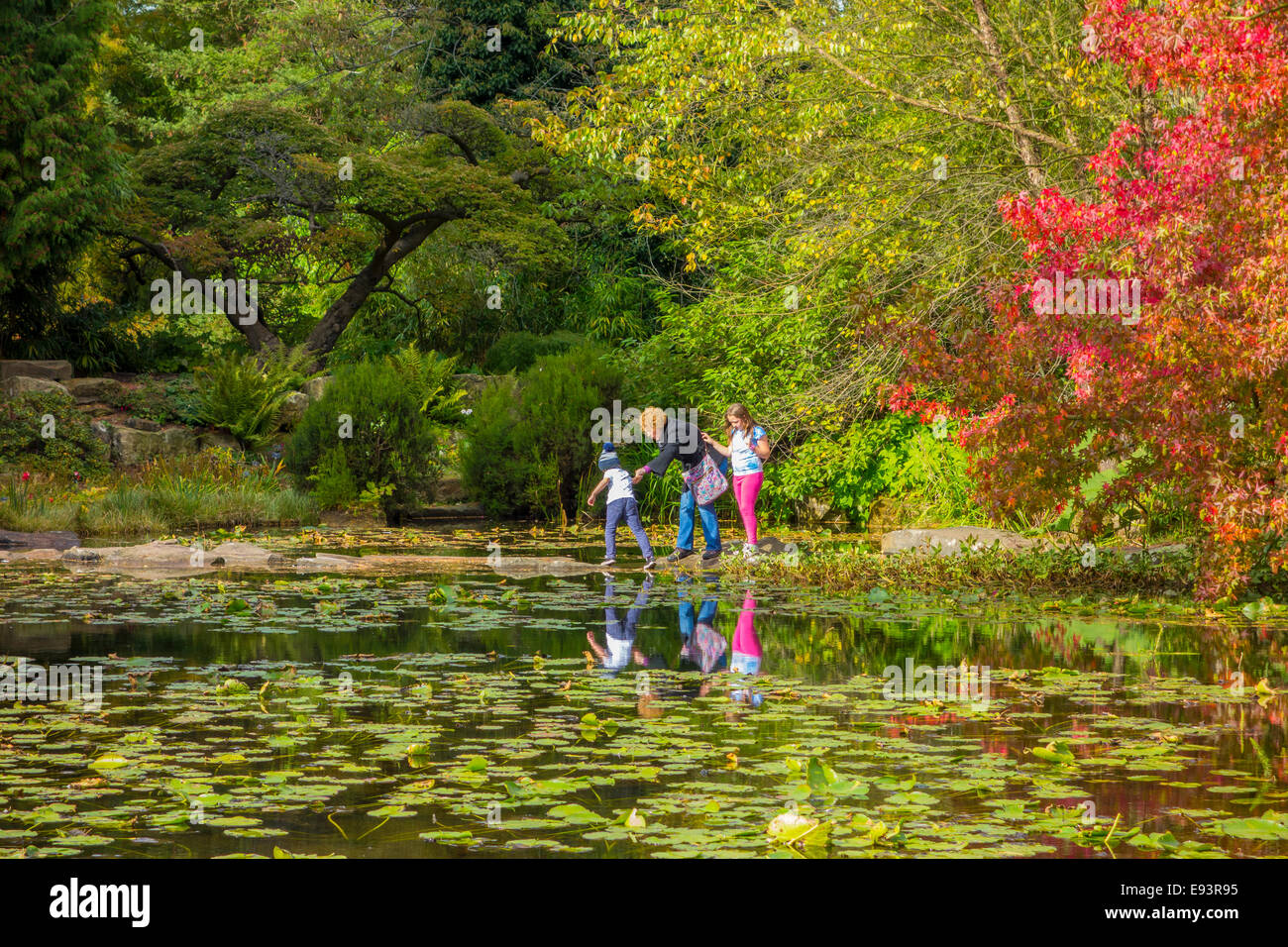 Family Crossing Stepping Stones Cambridge Botanical Gardens Stock Photo