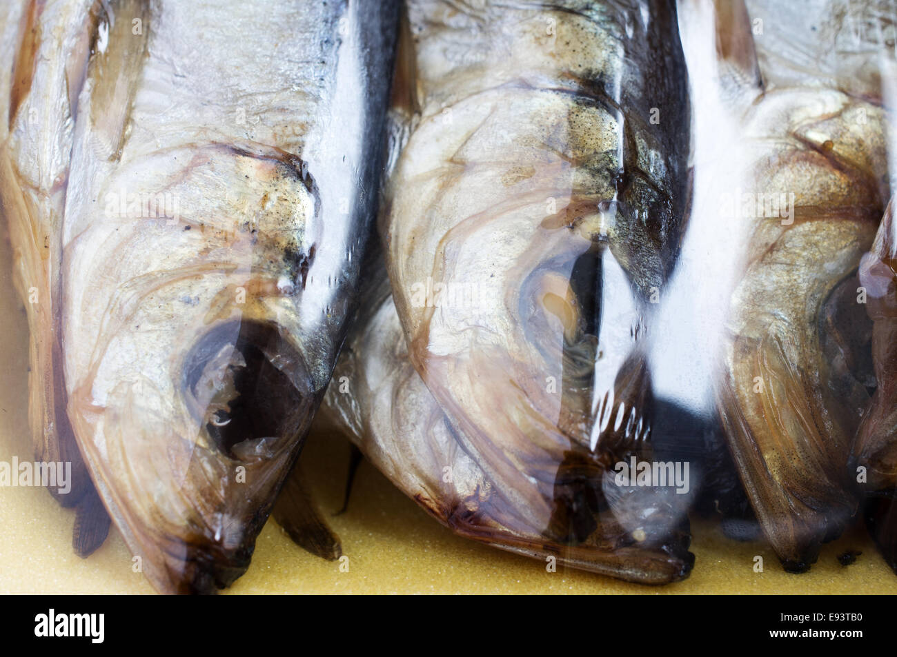 Smoked fish salmon in a vacuum plastic packaging Stock Photo Alamy
