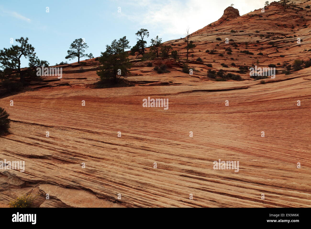 Zion Striped Rocks Rock formations in Zion National Park Stock Photo - Alamy
