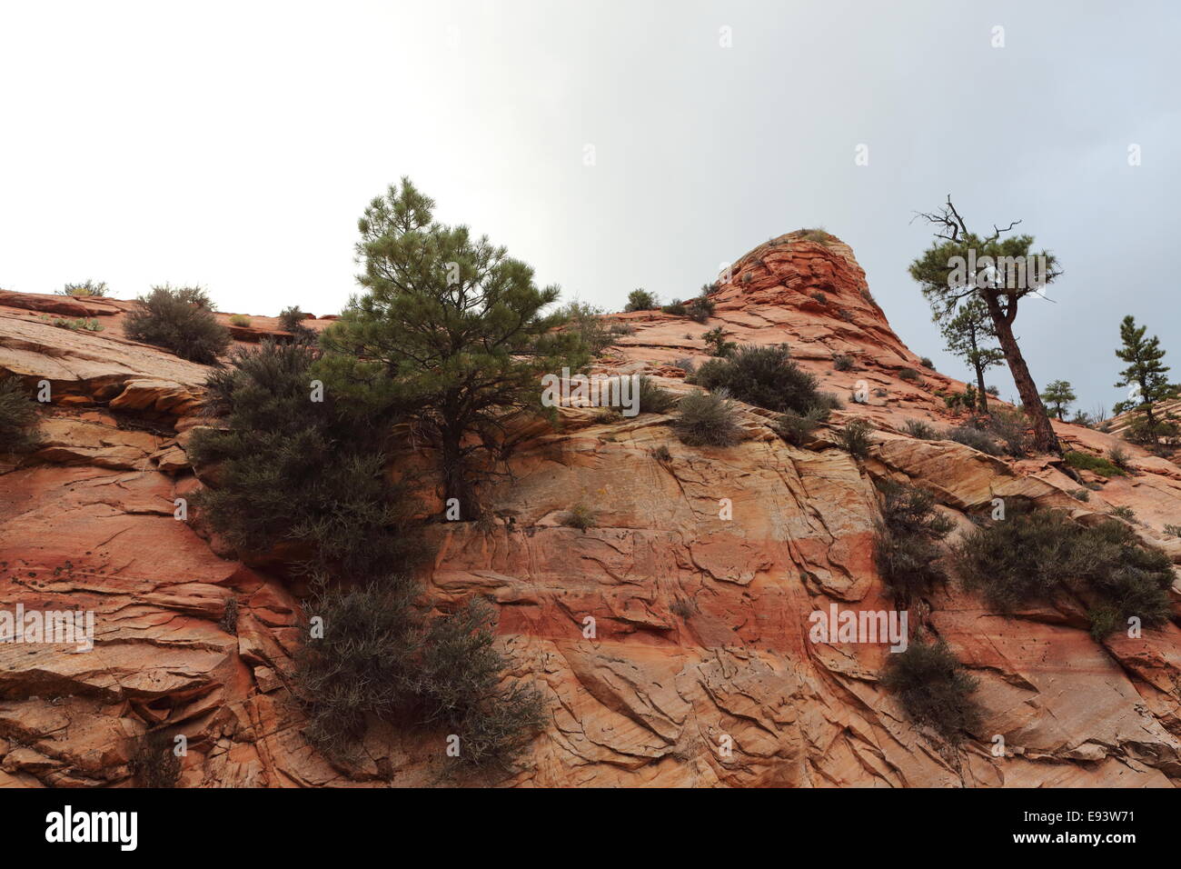 Rock formations in Zion National Park Stock Photo