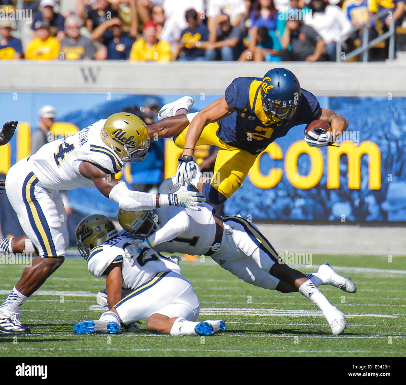 Berkeley USA CA. 18th Oct, 2014. California RB # 2 Daniel Lasco leep overs UCLA players for a first down during NCAA Football game between UCLA Bruins and California Golden Bears 34-36 lost at Memorial Stadium Berkeley Calif. Credit:  csm/Alamy Live News Stock Photo