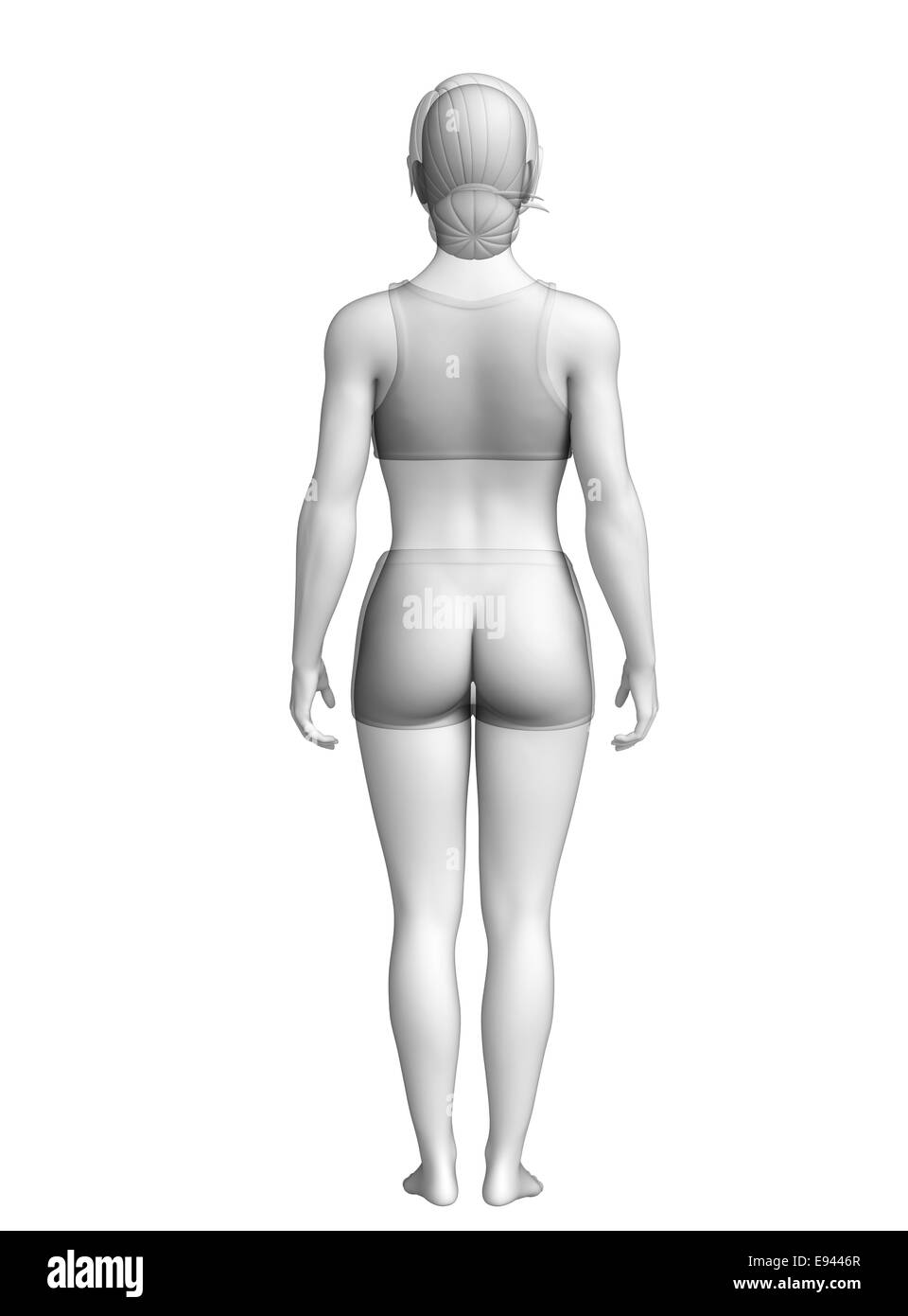 Body main image 1