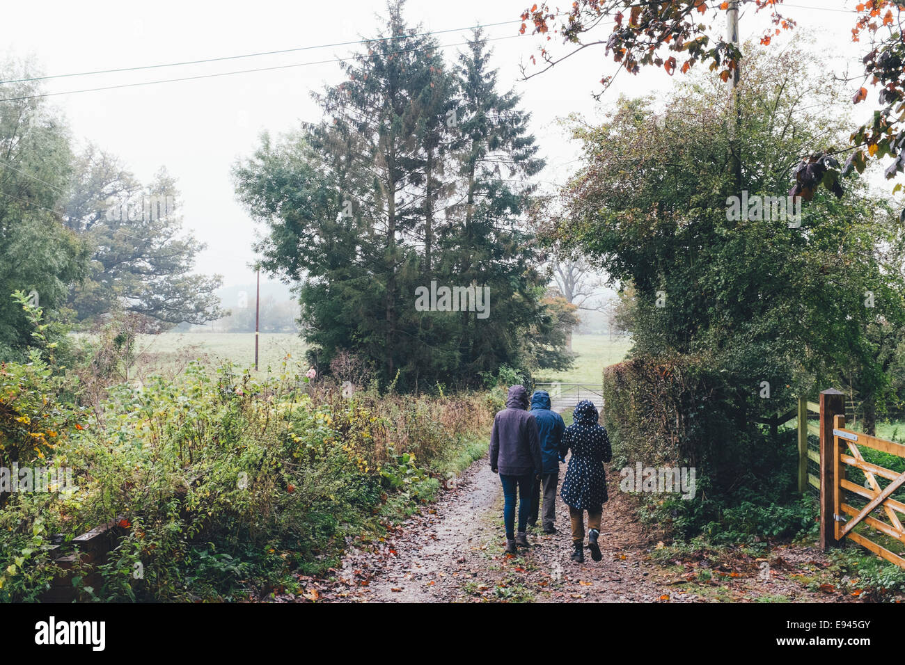 Walk In Countryside Countryside walk uk hi-res stock photography and images - Alamy