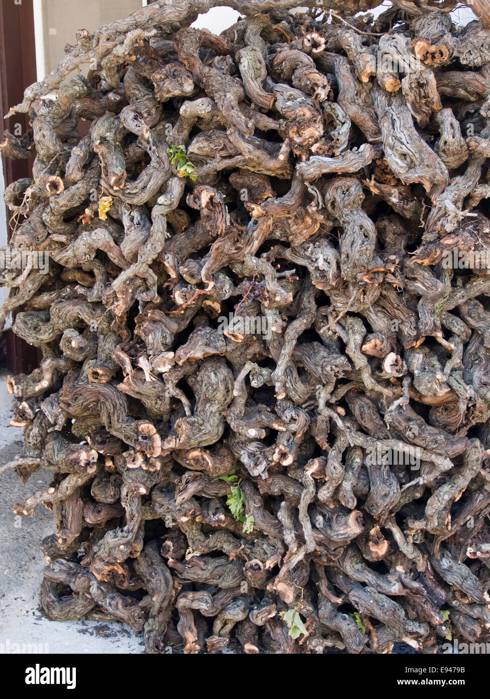 Collected fire wood from vines in a Greek village in the island of Samos Greece Stock Photo