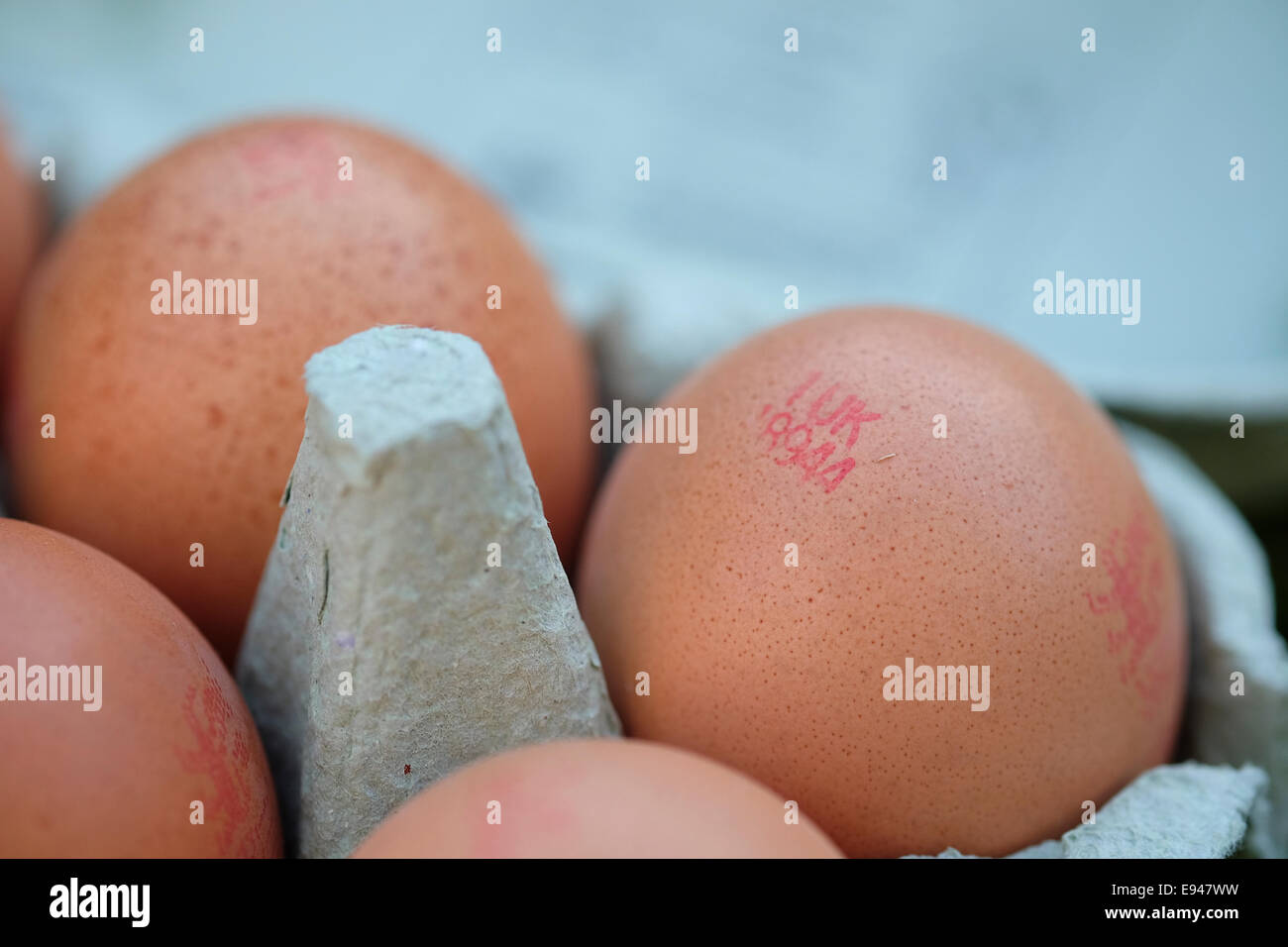 Brown eggs with red UK quality control stamp Stock Photo