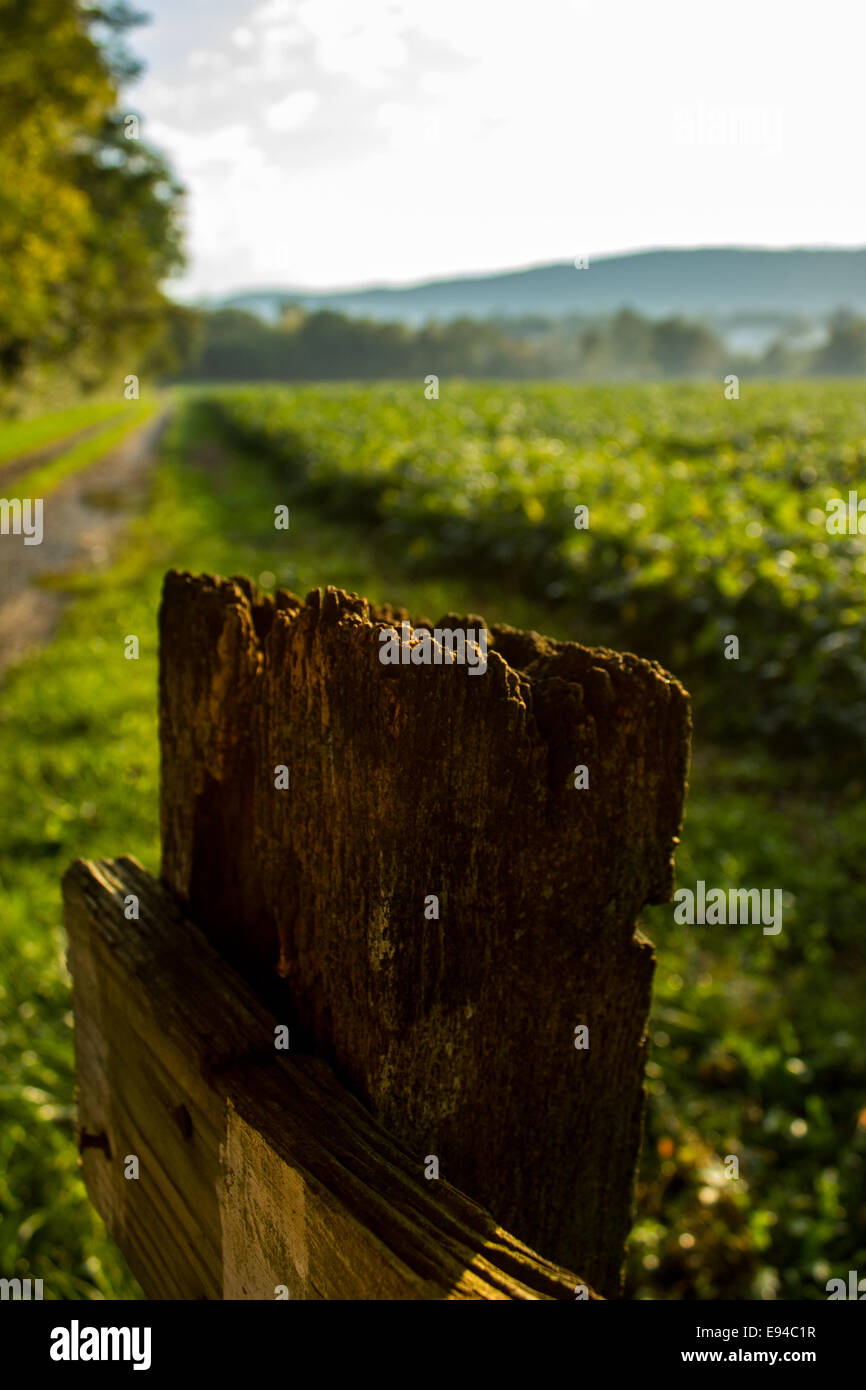 Gravel Ridge High Resolution Stock Photography and Images - Alamy