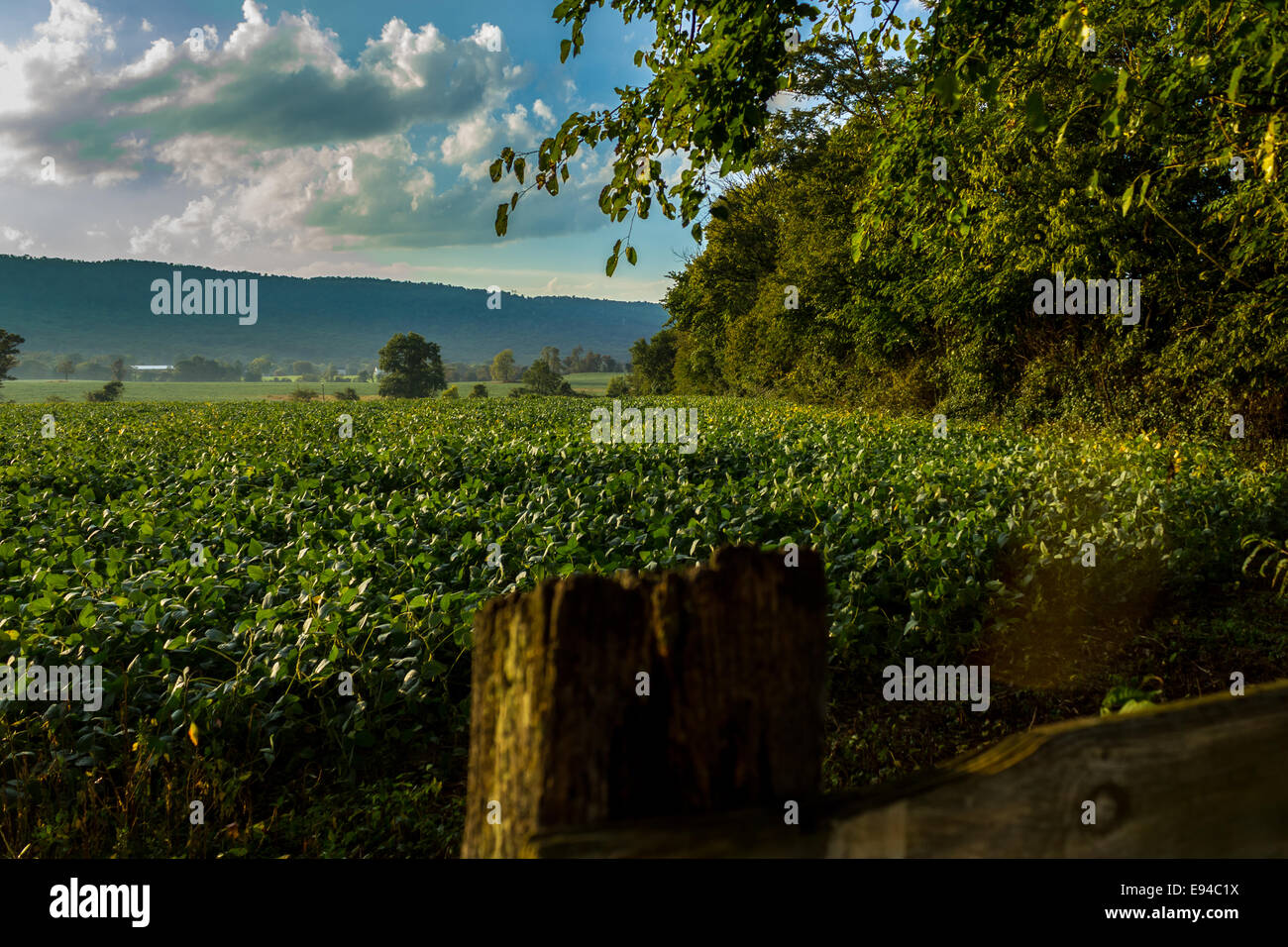 Blue Ridge Farm Stock Photos & Blue Ridge Farm Stock Images - Alamy