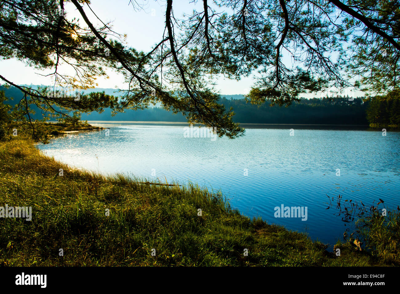 Algonquin Provincial Park Opeongo Lake Fall colors. Ontario Canada