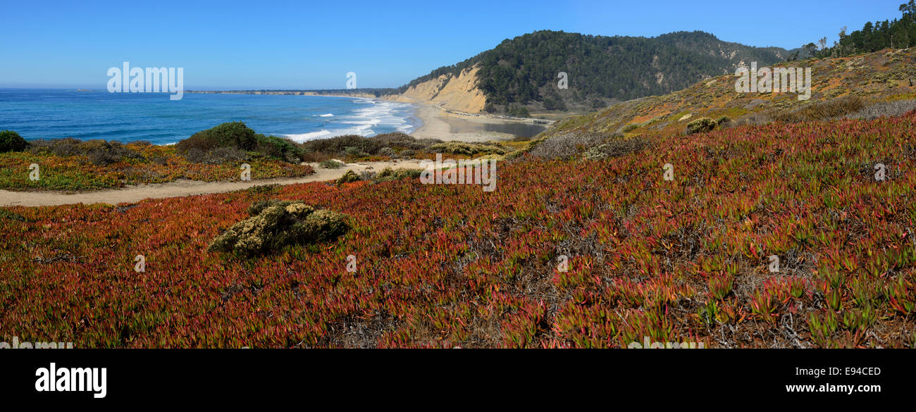 Waddell Beach and Big Basin Redwoods State Park, California CA Stock Photo
