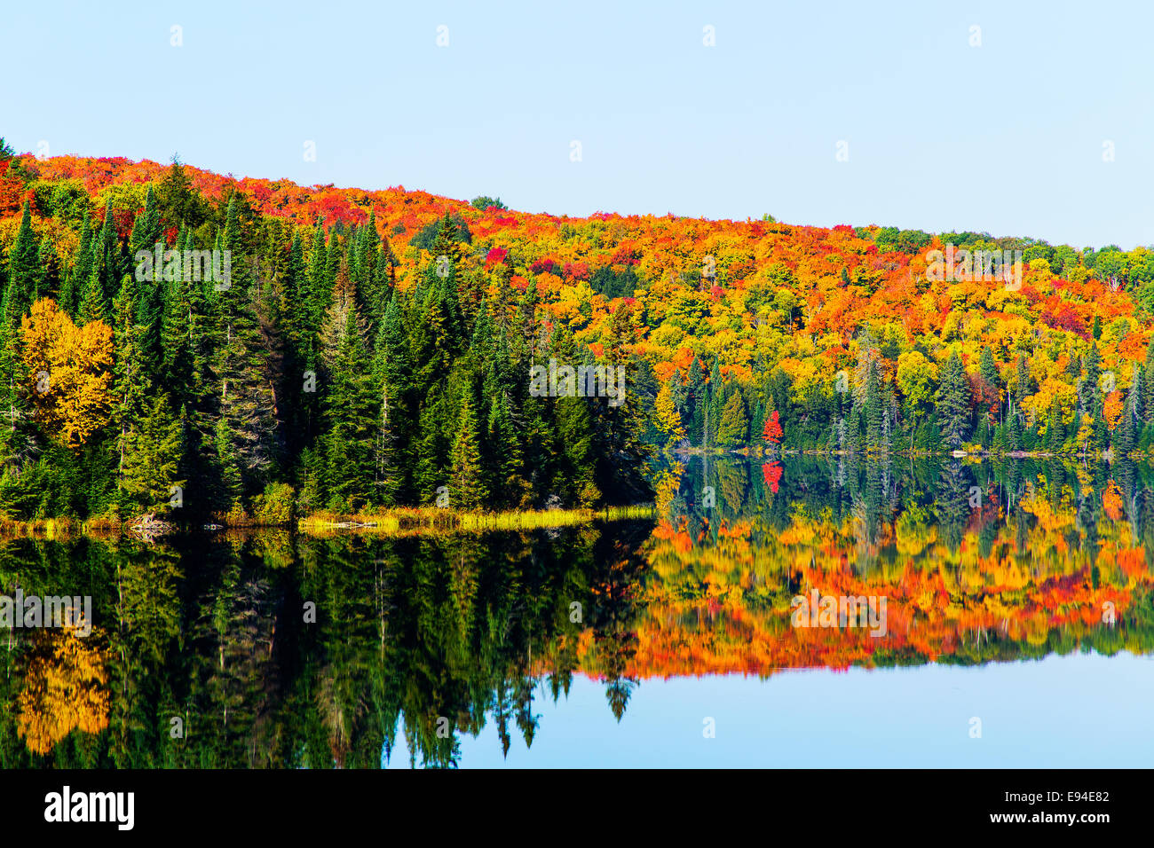 Algonquin Provincial Park Brewer Lake fall colors. Ontario Canada Stock Photo