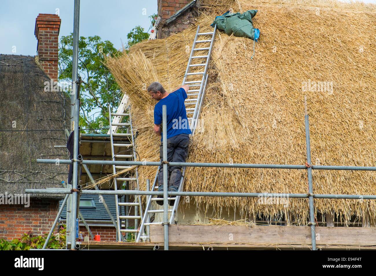 Thatcher Thatch Thatching Wheat High Resolution Stock Photography and ...