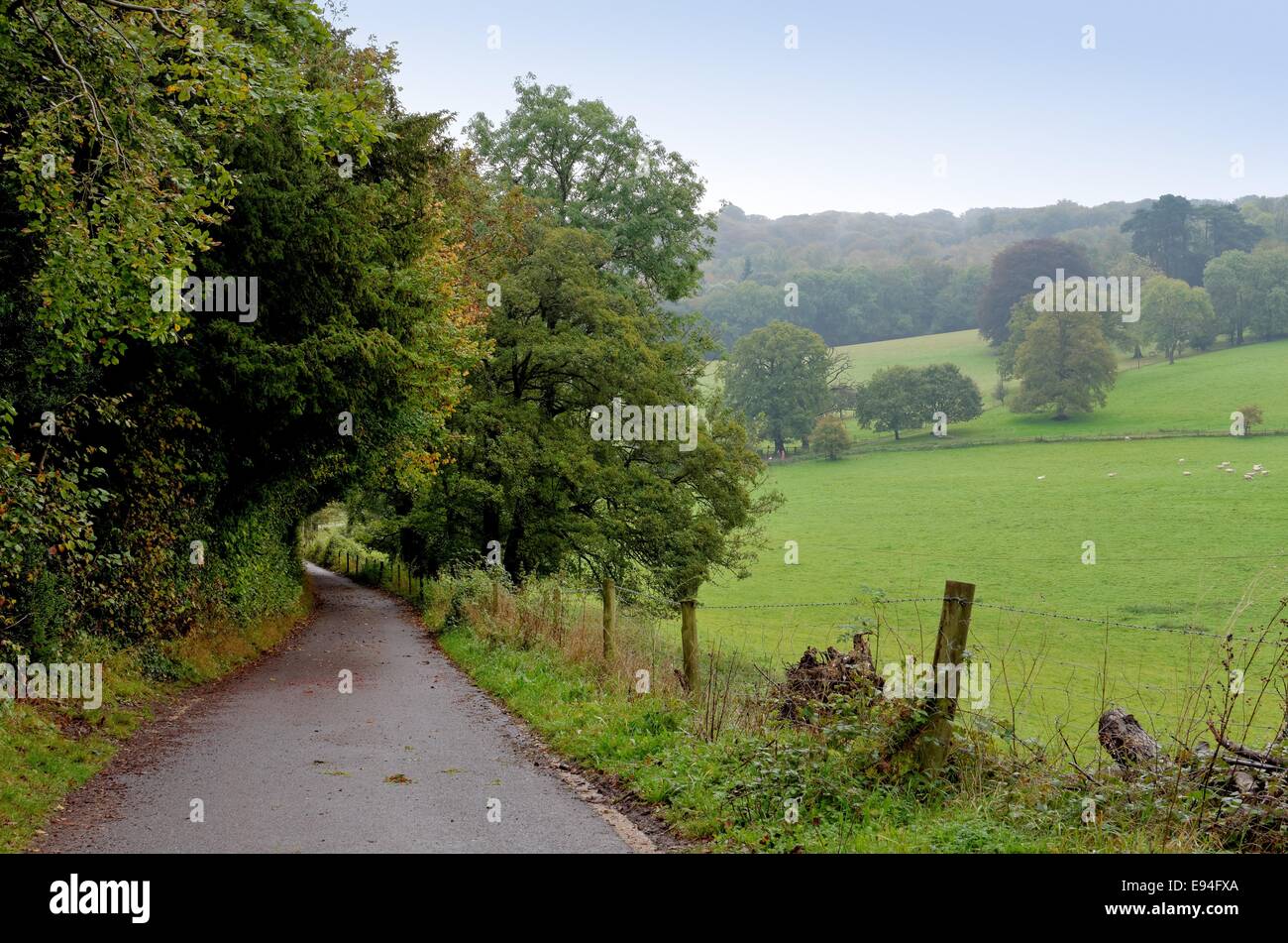 Country Lane in the Surrey Hills U.K Stock Photo Alamy