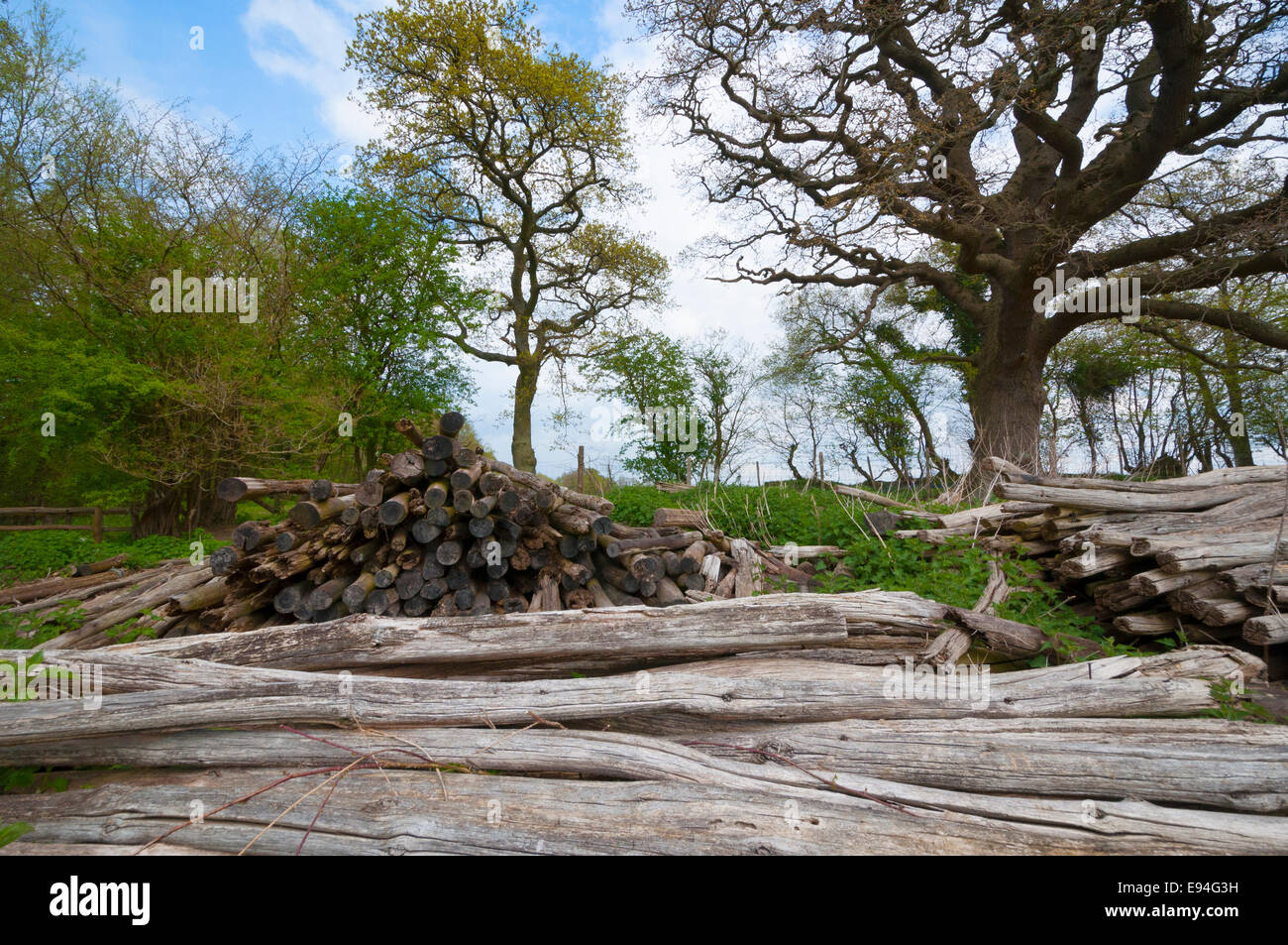 Springtime in Kent Stock Photo - Alamy