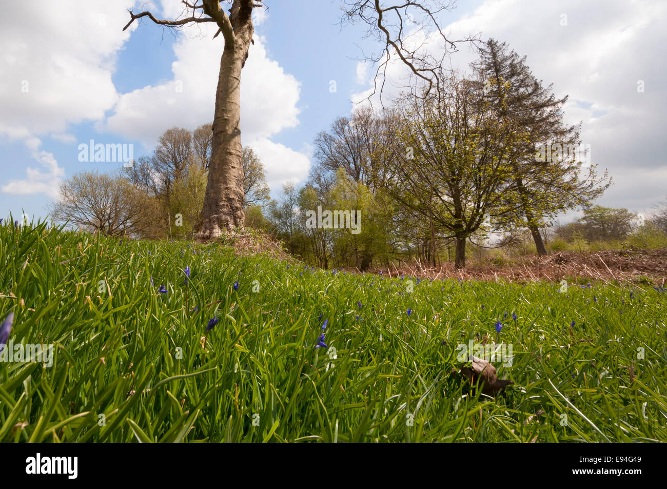 Springtime in Kent Stock Photo - Alamy