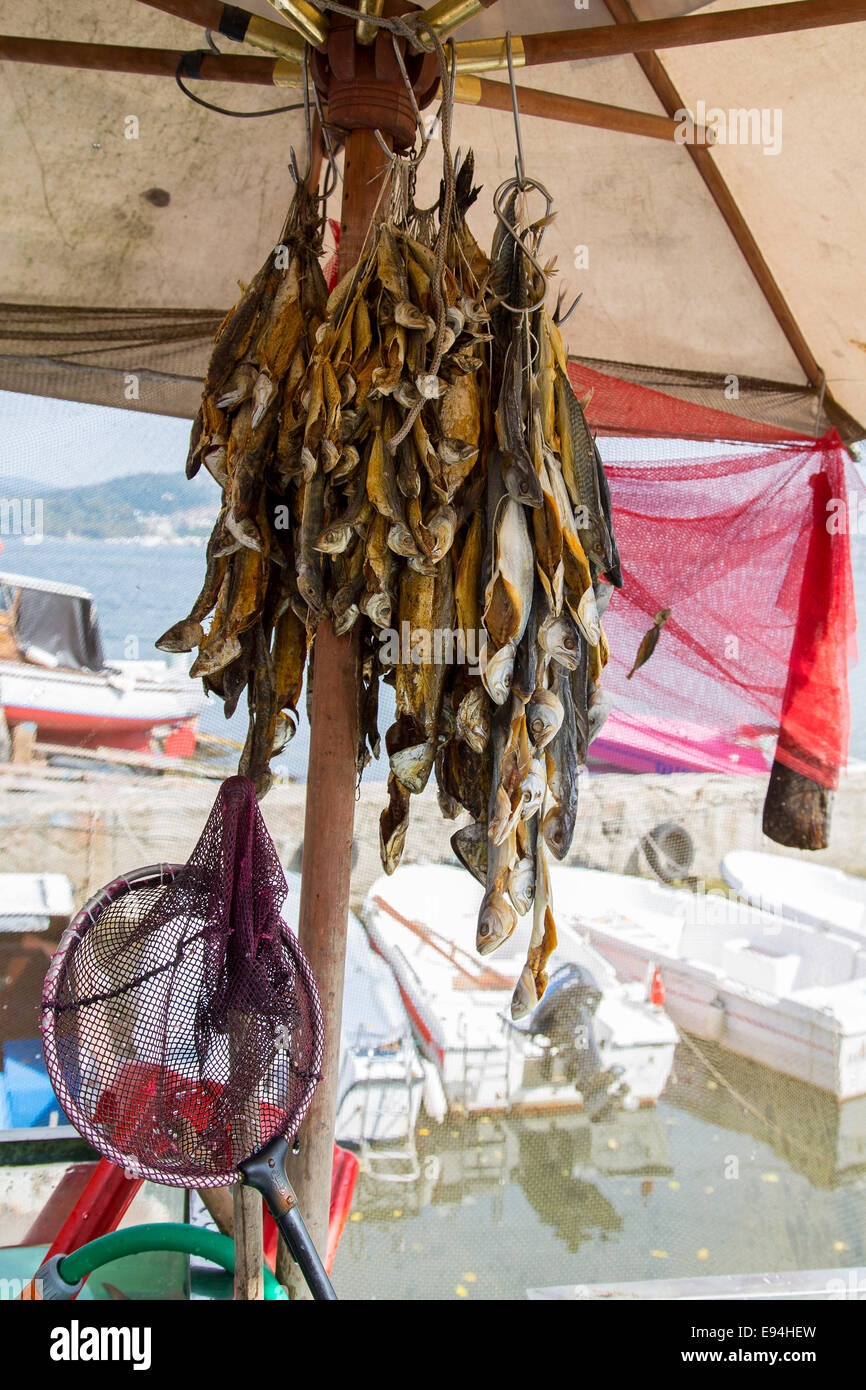 Turkish traditional stock fish outdoor drying closeup Stock Photo