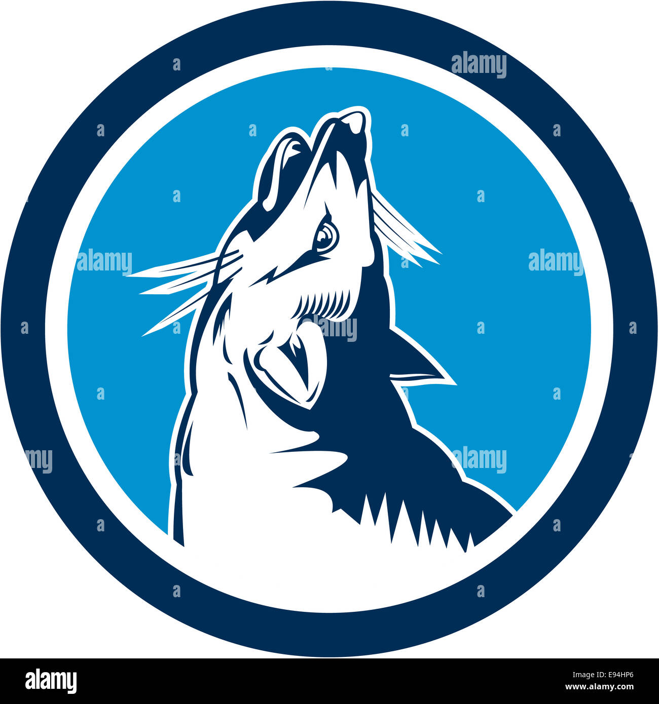 Illustration of an angry fox wild dog wolf head howling viewed from the side set inside circle on isolated background done in retro style. Stock Photo