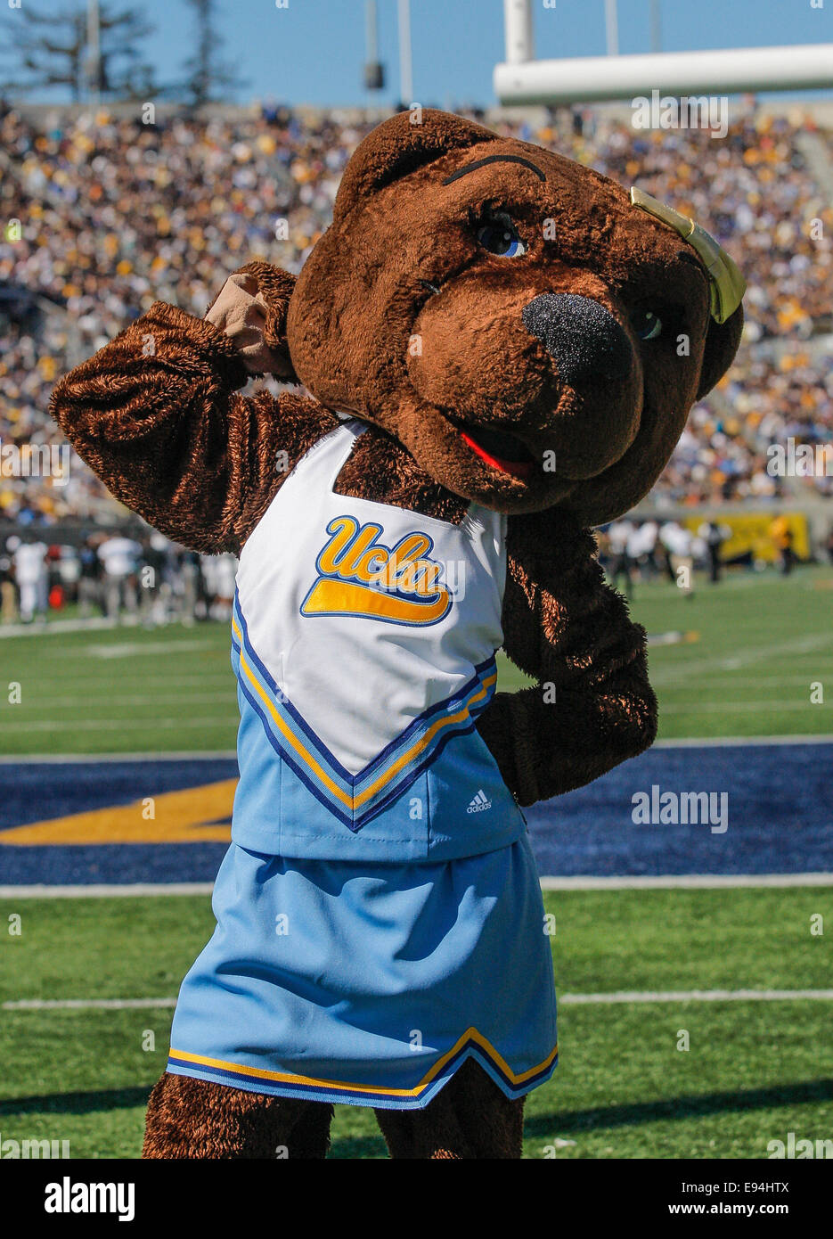 Ucla mascot hi-res stock photography and images - Alamy