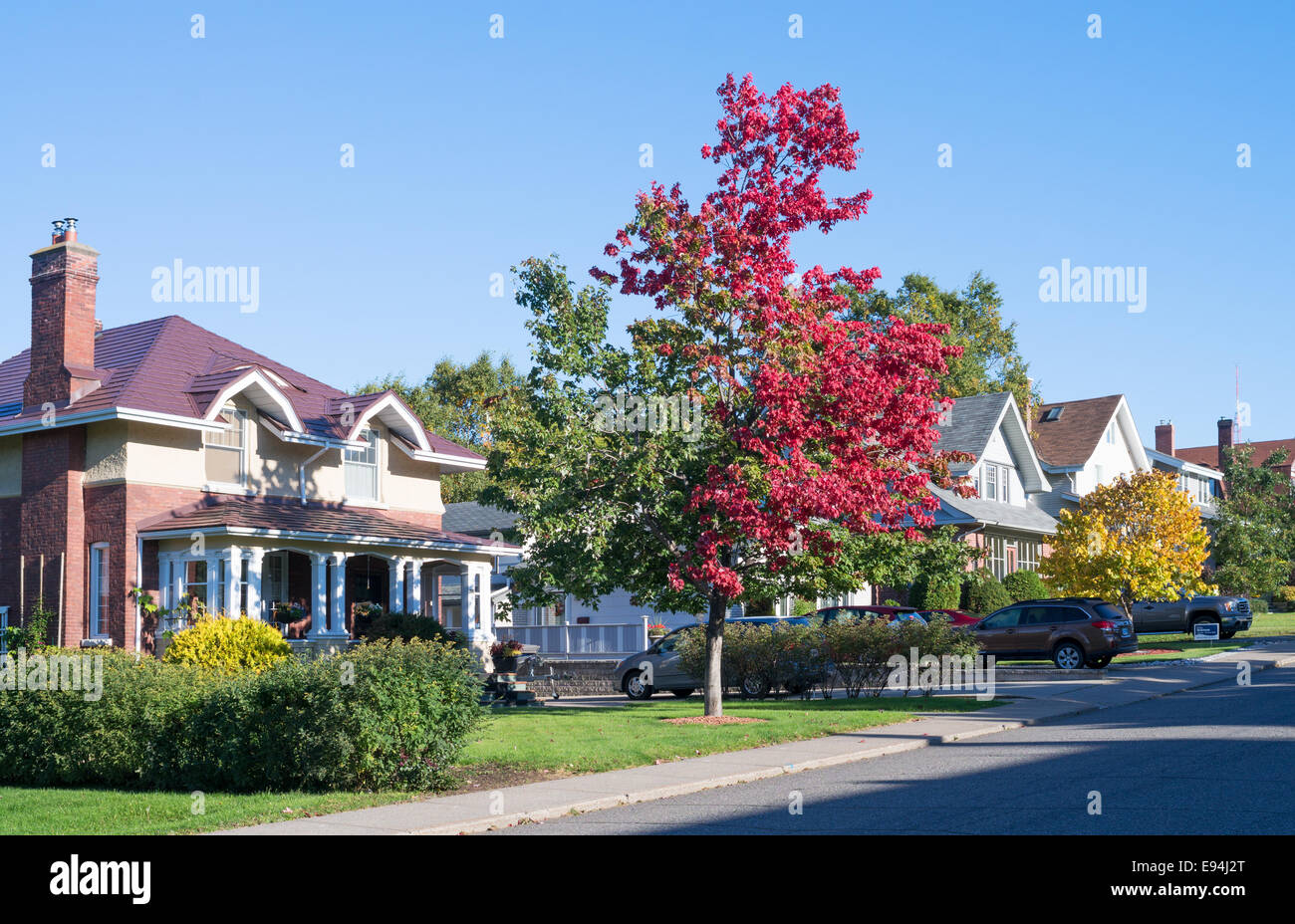 Thunder Bay neighbourhood with autumn colours, Ontario, Canada Stock Photo