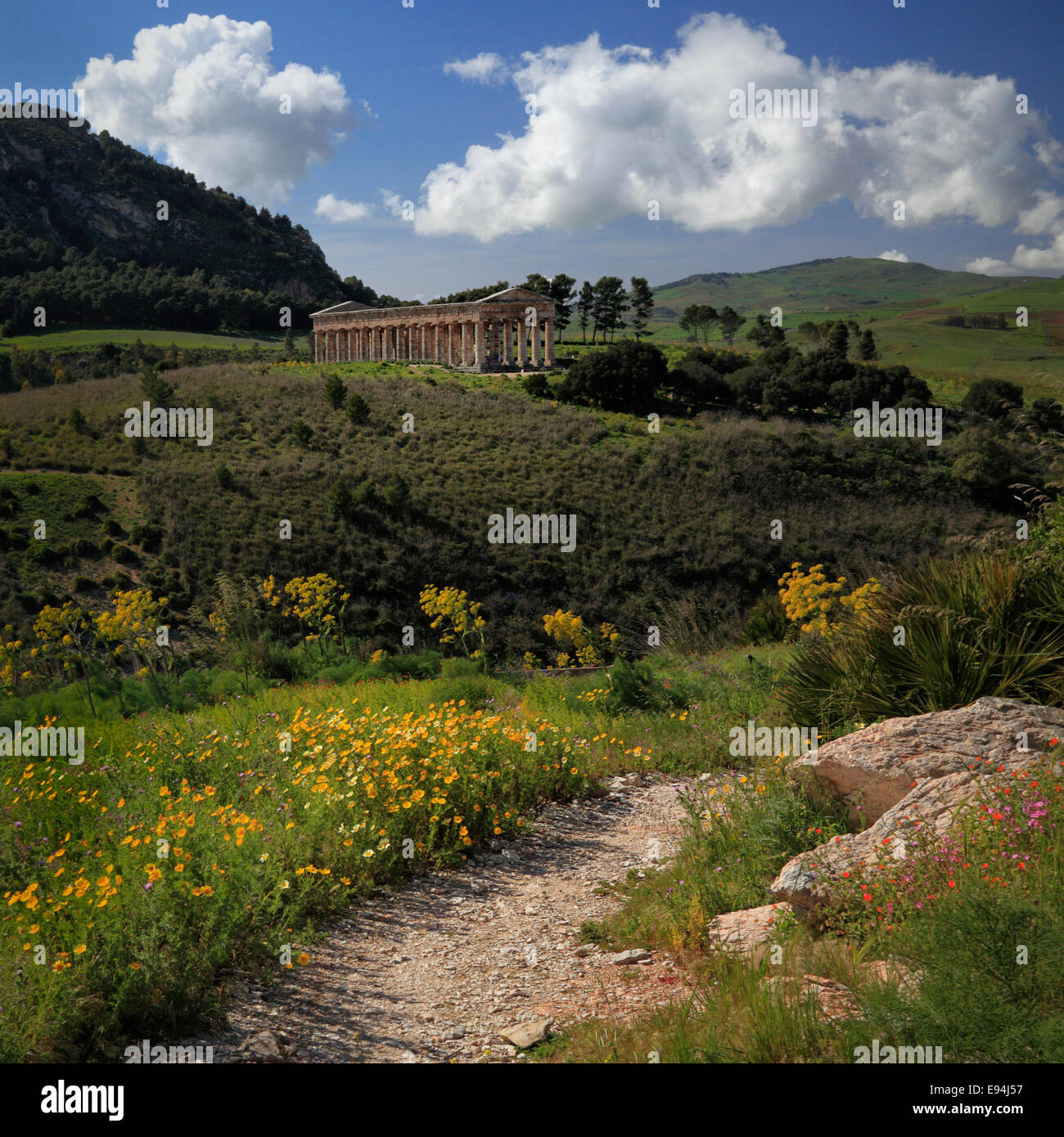 Ancient Temple of Segesta amidst flower covered countryside Stock Photo