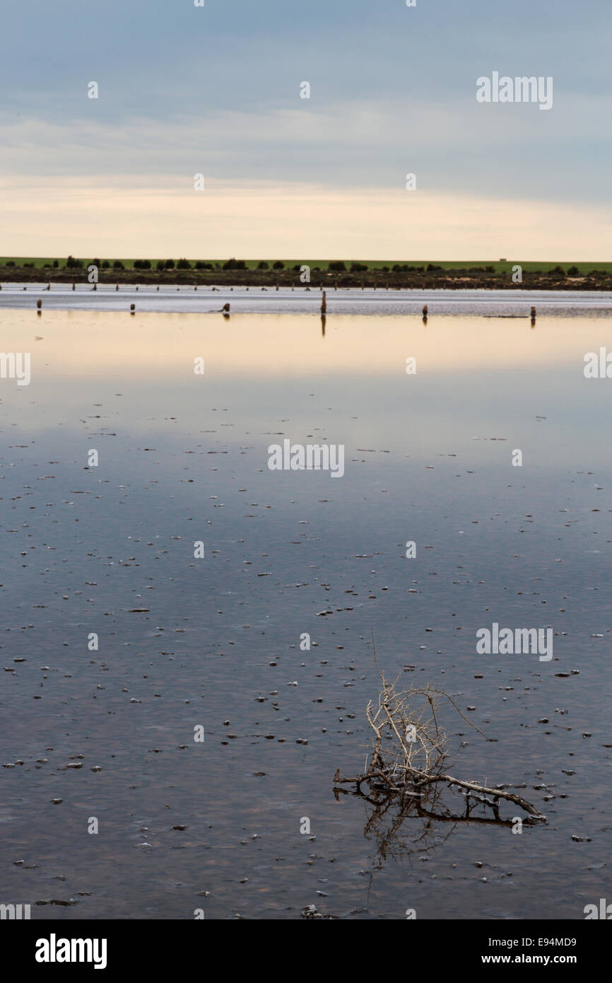 Lake Wahpool near the Victorian town of Sea Lake in Australia. An area suffering from a condition known as rising salt. Stock Photo