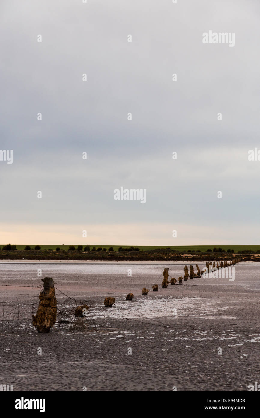 Lake Wahpool near the Victorian town of Sea Lake in Australia. An area suffering from a condition known as rising salt. Stock Photo