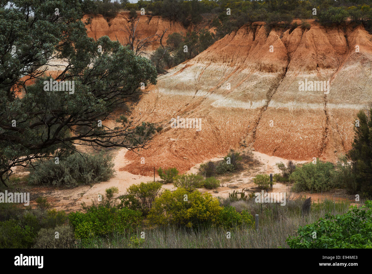 These cliffs are near the town of Red Cliffs, which can be found in the Mallee District of Victoria in Australia Stock Photo
