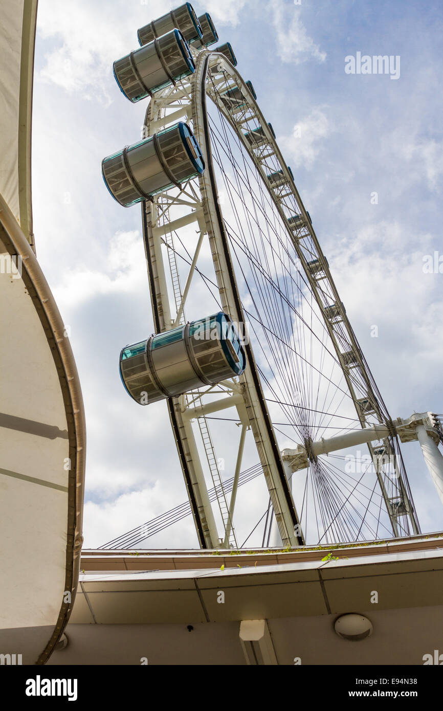 Singapore Flyer  is the largest observation wheel in the world. Stock Photo