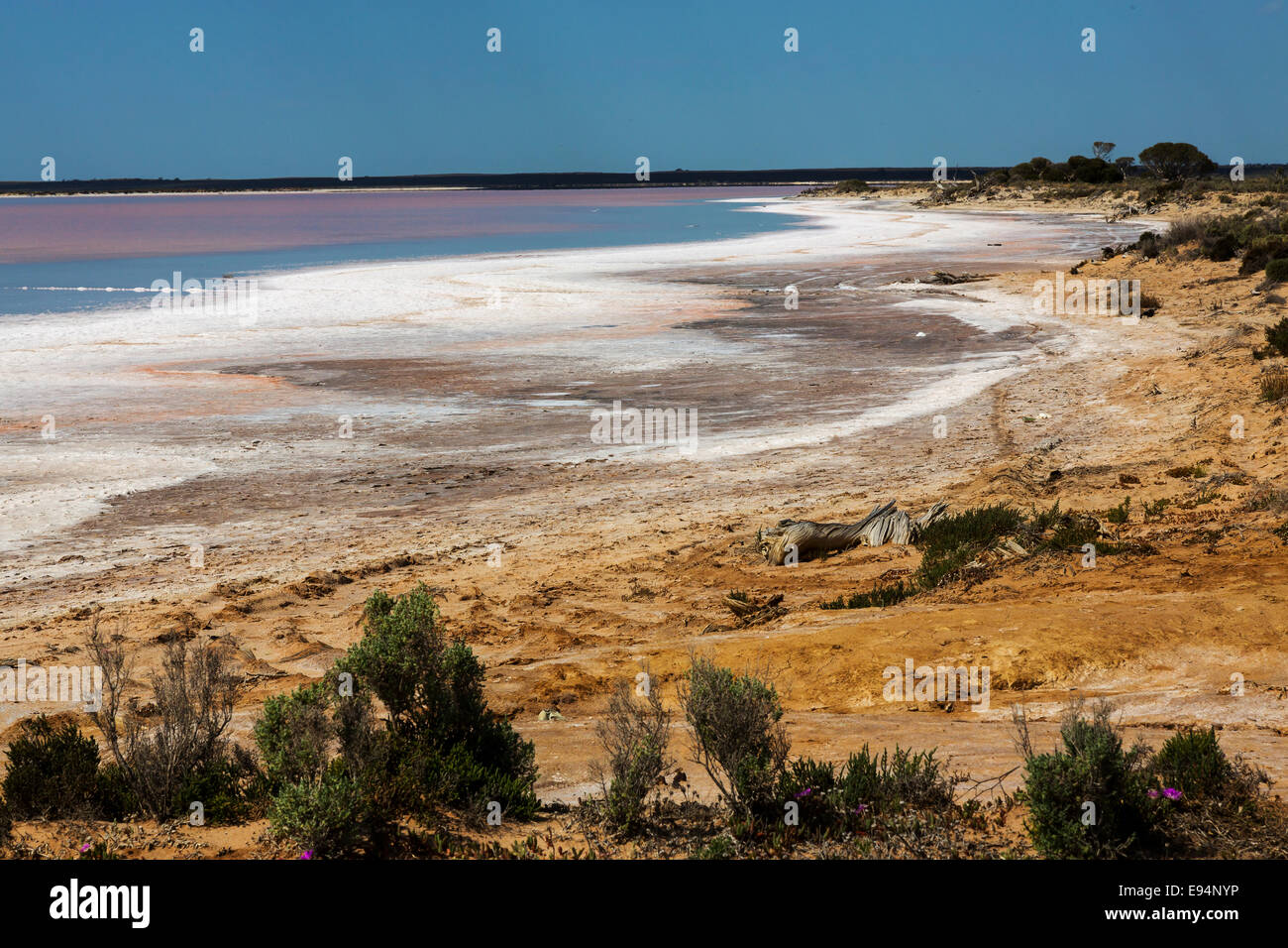 Lake Tyrrell is a salt lake found near the Victorian country town of Sea Lake in Australia. Stock Photo