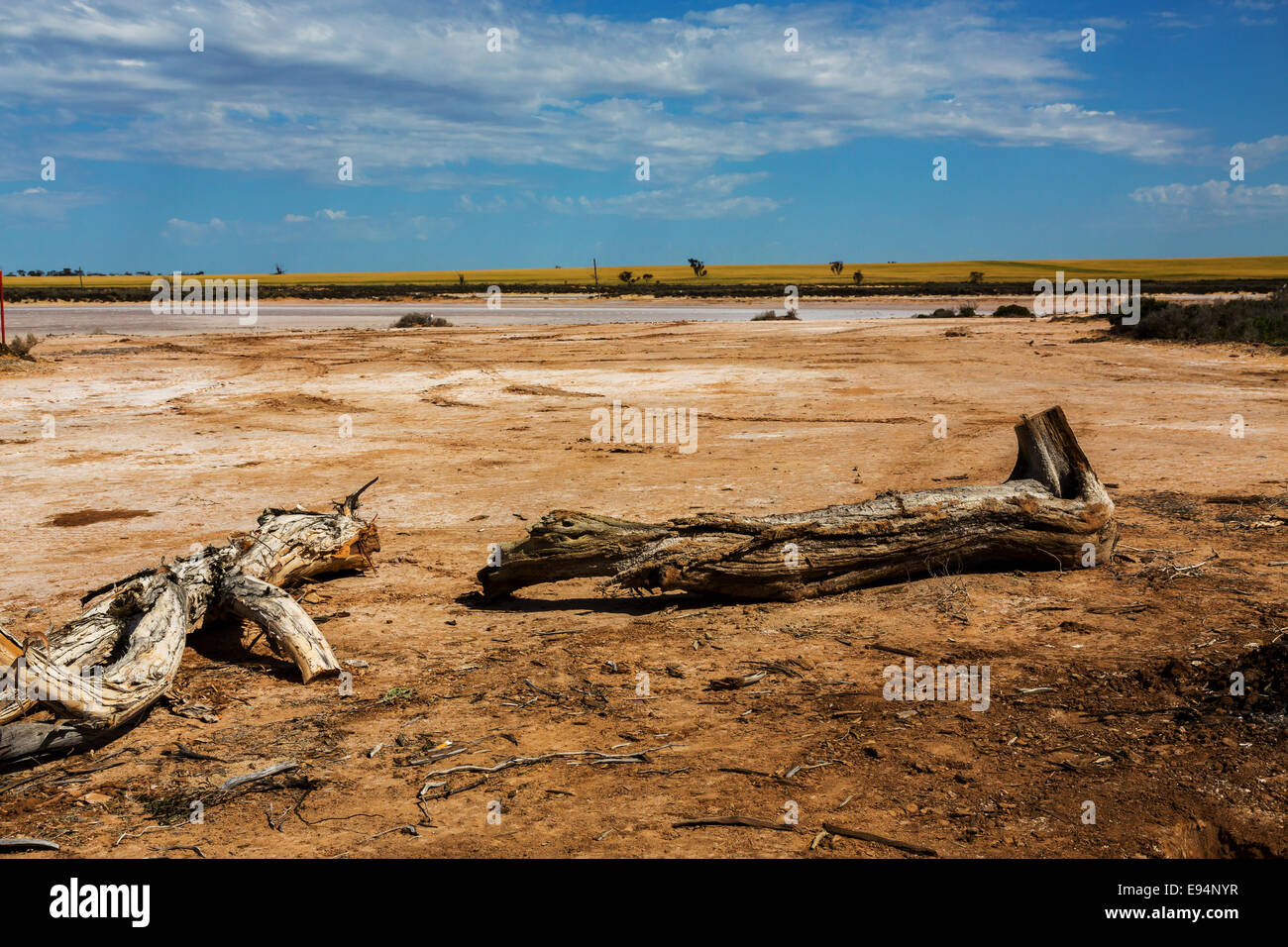 Lake Tyrrell is a salt lake found near the Victorian country town of Sea Lake in Australia. Stock Photo