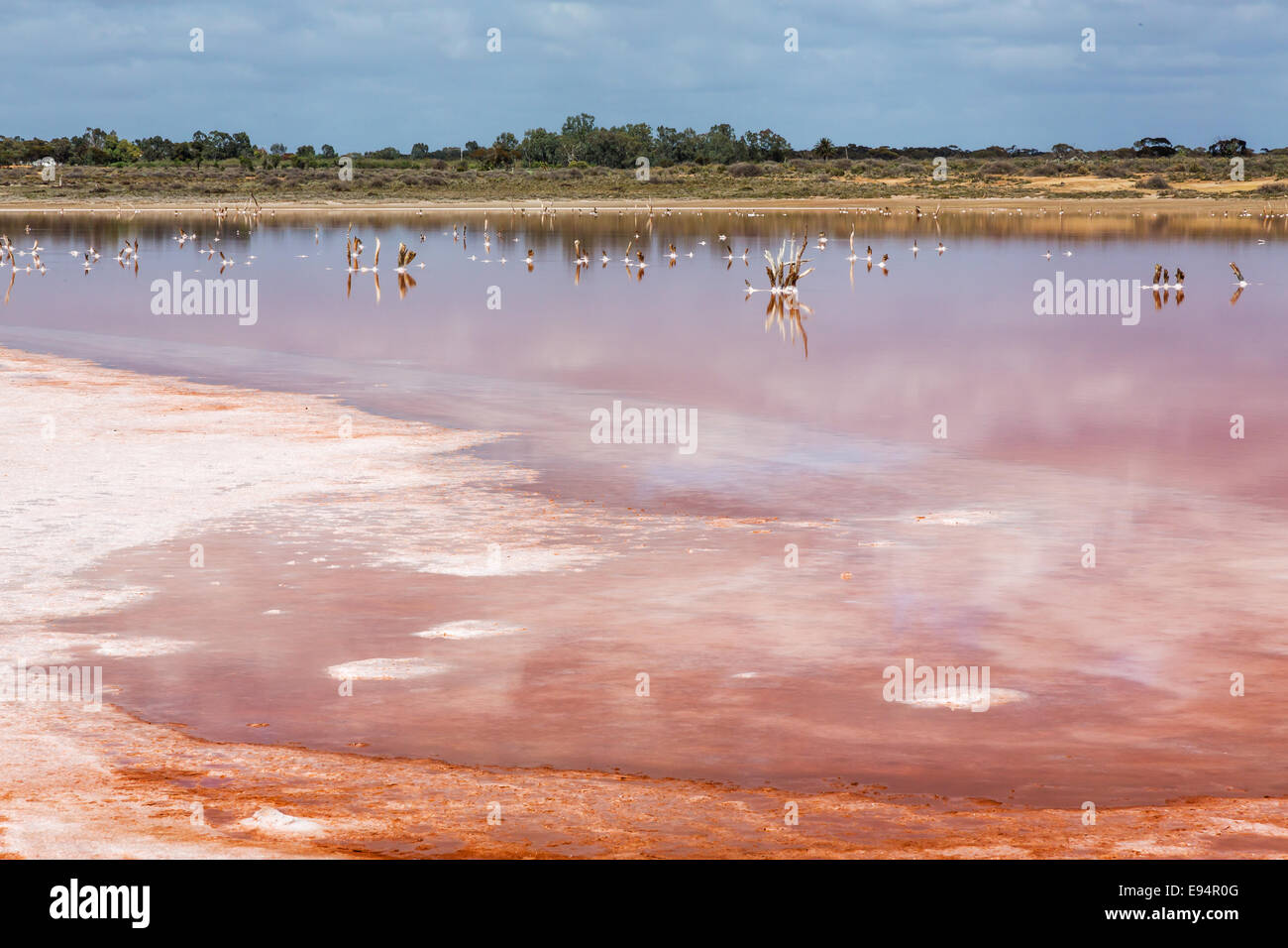 Salt Lake in the Mallee District of Victoria Australia Stock Photo