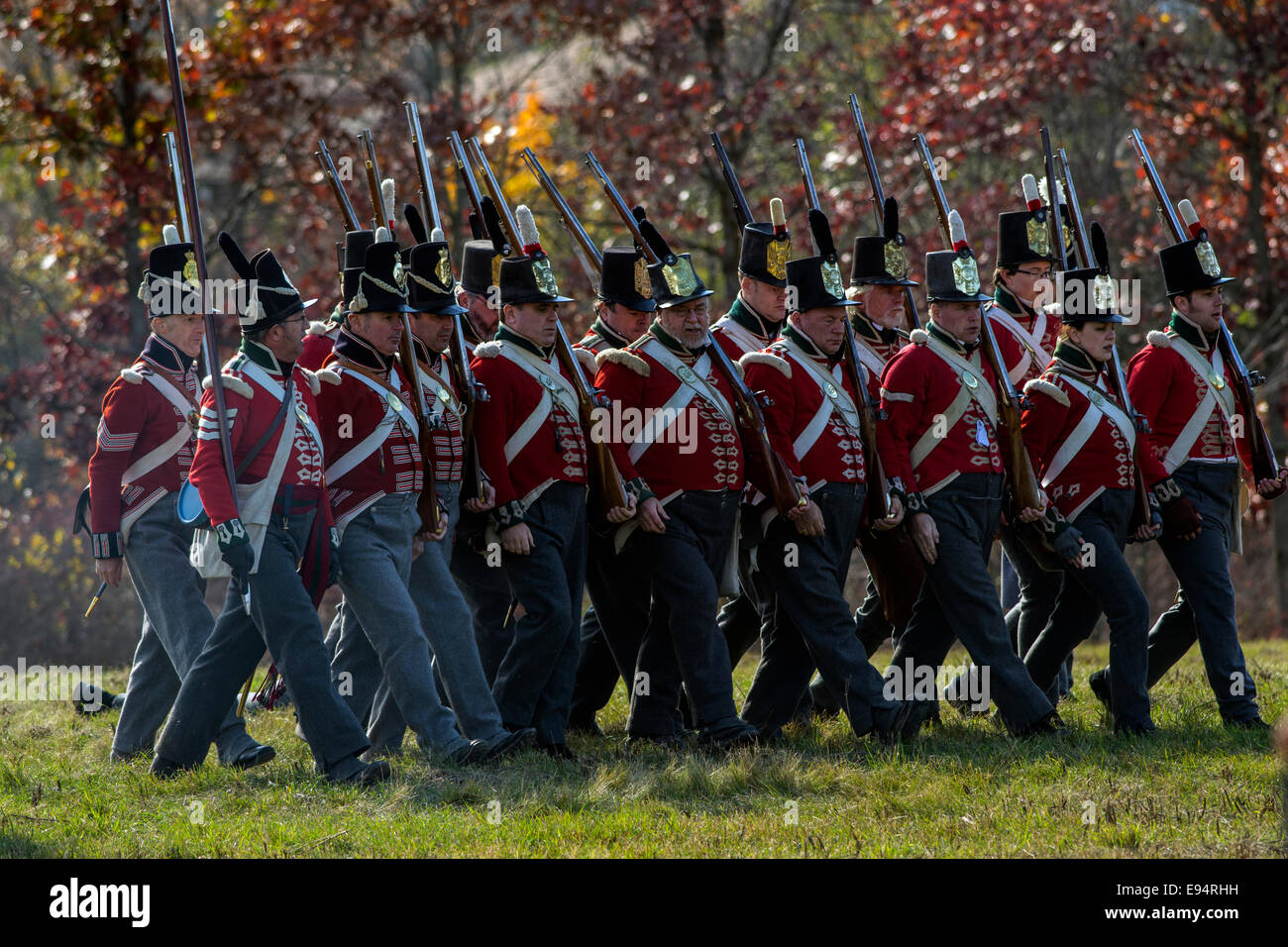 Welland, Canada. 19th Oct, 2014. British soldiers march into position on the battlefield against the Americans at the 200th anniversary re enactment of the Battle of Cook's Mills, a battle from the Niagara Campaign from the War of 1812, in Welland, Ontario, Canada. Credit:  J.T. Lewis/Alamy Live News Stock Photo