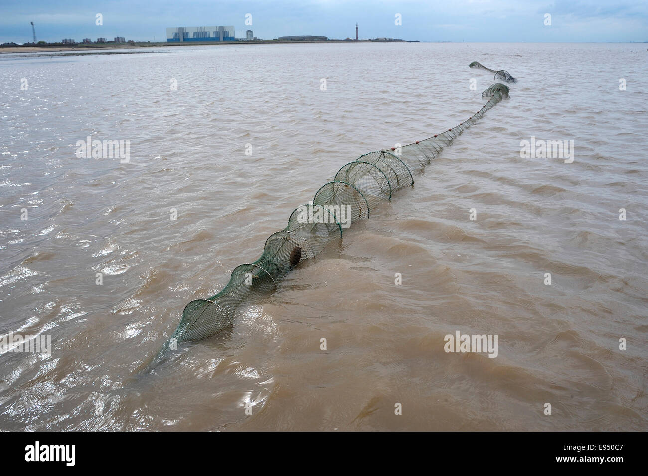 Traditional Fishing for soles and eels using double ended Fyke nets on the  Humber Estuary mudflats Stock Photo - Alamy