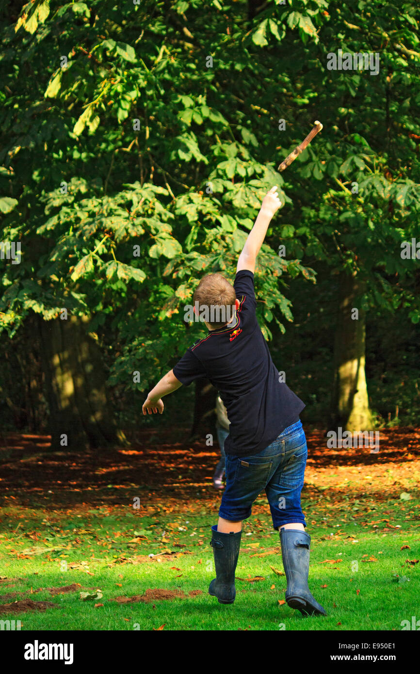 boy collecting conkers by throwing a stick up into the horse chestnut