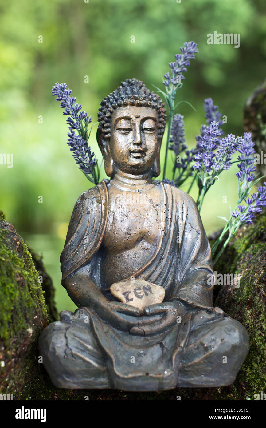 Buddha yoga best sale