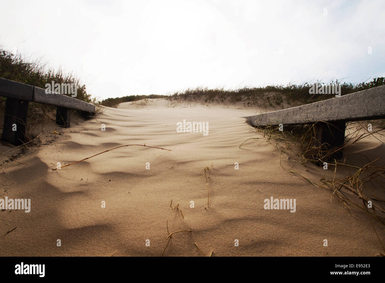 Sand drifts, beach access, beach in Port Elizabeth, Eastern Cape, South Africa Stock Photo