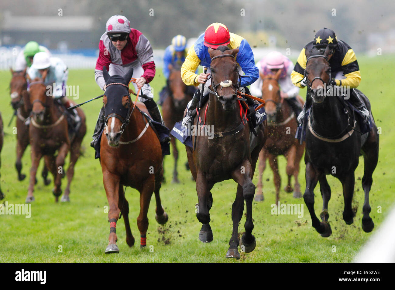 18.10.2014 - Ascot; Gordon Lord Byron, ridden by Wayne Lordan (red cap) wins the Qipco British Champions Sprint Stakes (Group 2). Second place: Tropics, ridden by Robert Winston (grey-red cap). Third place: Jack Dexter, ridden by Graham Lee (black cap). Credit: Lajos-Eric Balogh/turfstock.com Stock Photo